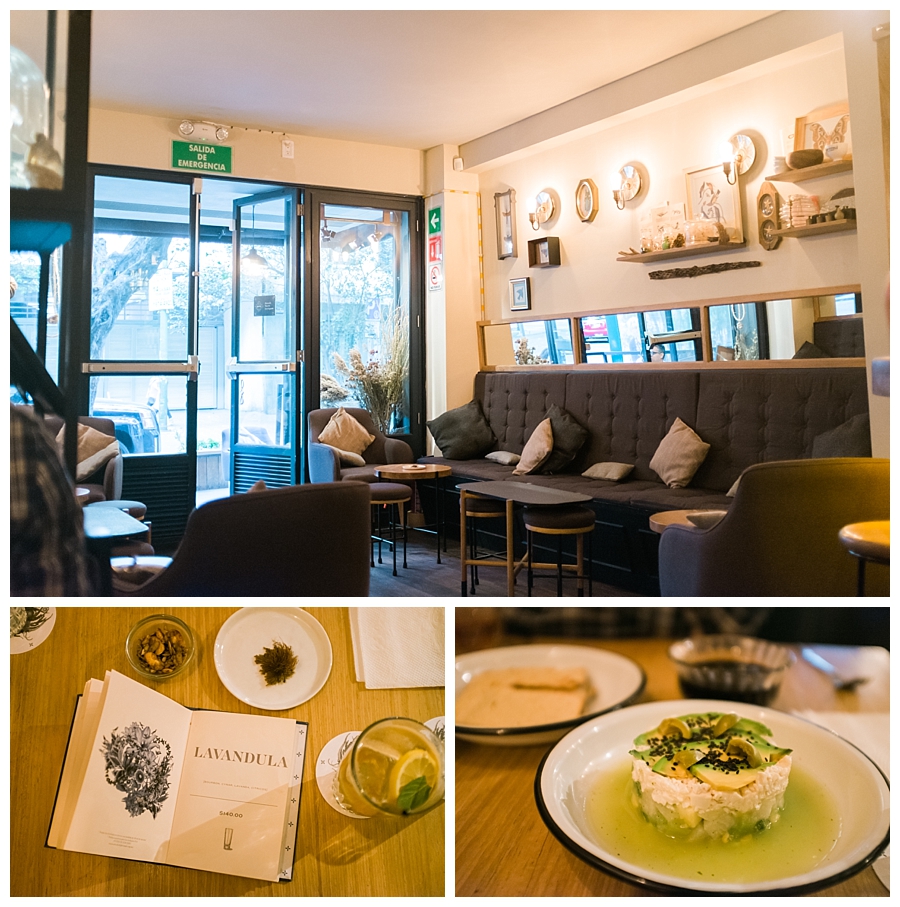 Bartender Atlas - Bar Hop Mexico City