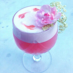 Cocktail Strawberry Vanilla Sour | Bartender Atlas