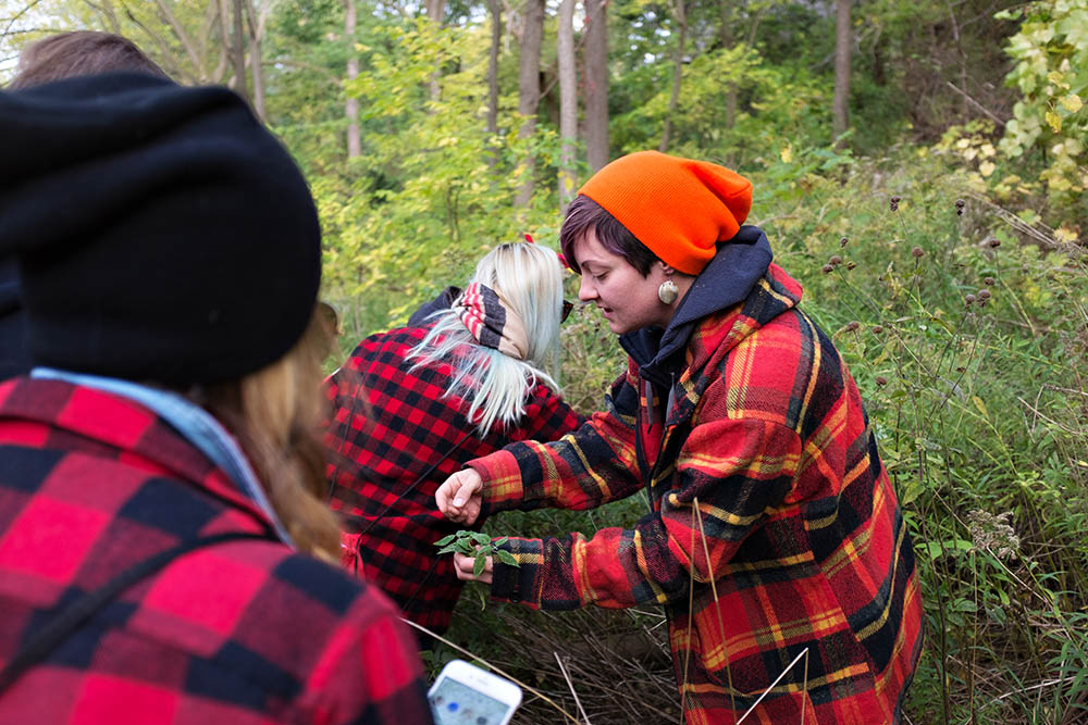 Foraging with The Botanist Gin | Bartender Atlas
