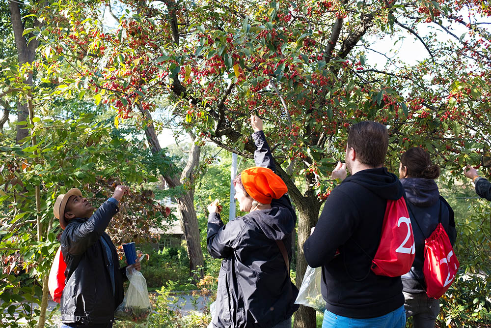 Foraging with The Botanist Gin | Bartender Atlas