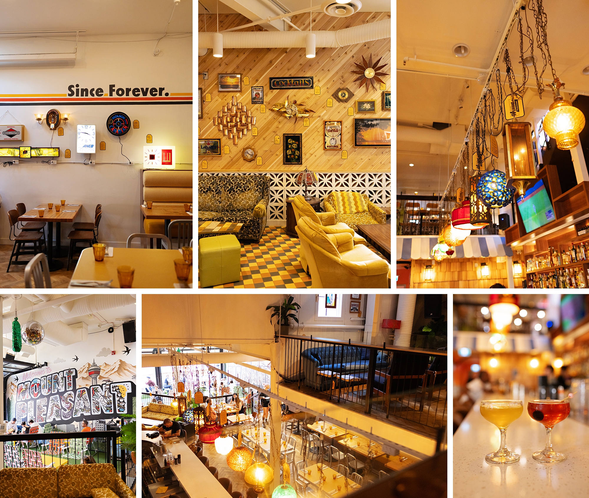 Mount Pleasant Vintage Calgary | Bartender Atlas